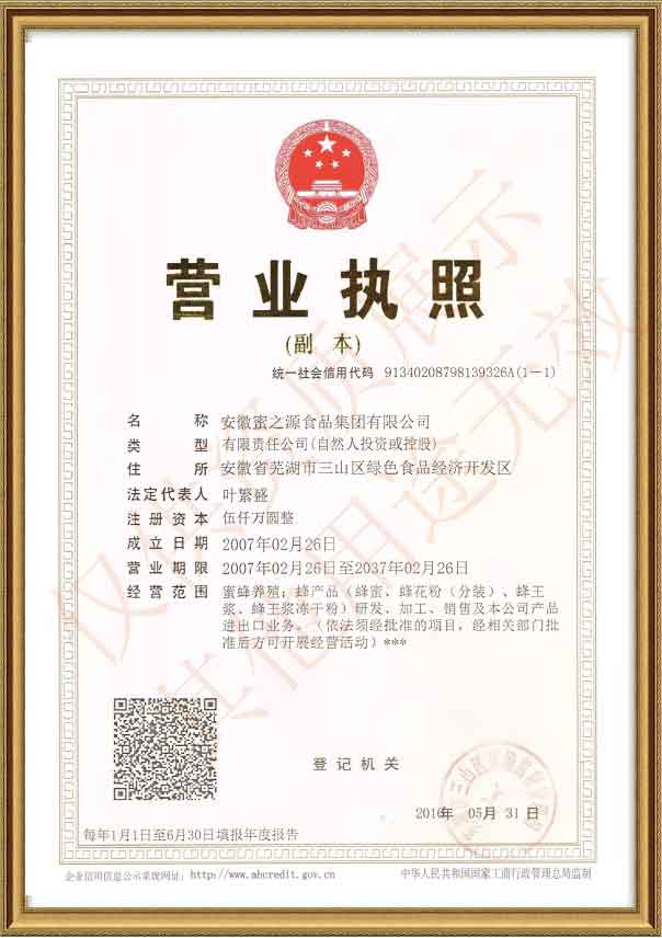 Business License